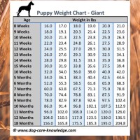 Royal Canin German Shepherd Puppy Feeding Chart