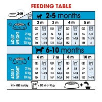 Royal Canin Mini Junior Feeding Chart