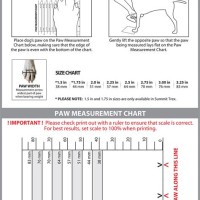 Ruffwear Dog Boot Size Chart