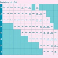 S Bra Size Chart