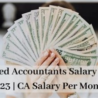 Salary Of Fresher Chartered Accountant In India