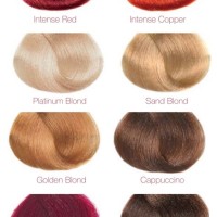 Sally Hair Colour Chart