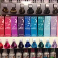 Sally S Hair Dye Color Chart