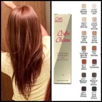 Sallys Hair Dye Chart