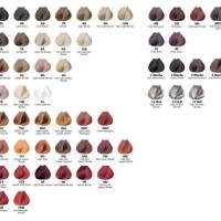 Satin Hair Dye Color Chart