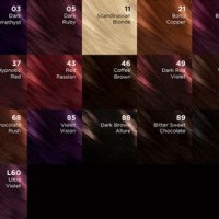 Schwarzkopf Live Hair Dye Colour Chart