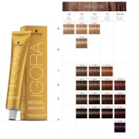 Schwarzkopf Professional Hair Dye Colour Chart