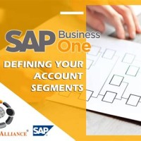 Segmented Chart Of Accounts In Sap B1