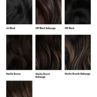 Shades Of Black Hair Color Chart