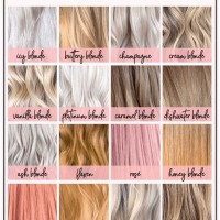 Shades Of Blonde Highlights Chart