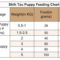 Shih Tzu Feeding Chart