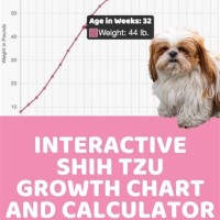 Shih Tzu Growth Chart Calculator