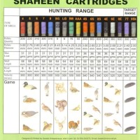 Shotgun 12 Gauge Ammo Size Chart