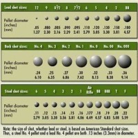 Shotgun Ammo Shot Size Chart