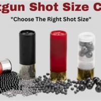 Shotgun Ammo Size Chart