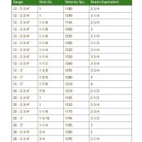 Shotgun Ammo Velocity Chart