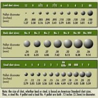 Shotgun Cartridge Shot Size Chart