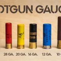 Shotgun Cartridge Size Chart