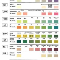 Siemens Urinalysis Test Strip Color Chart