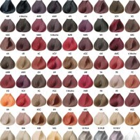 Silk Hair Color Chart