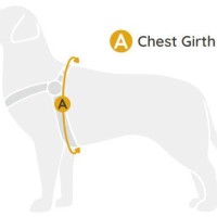 Simply Go Dog Harness Size Chart