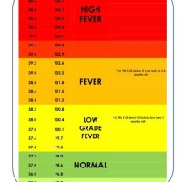 Small Baby Fever Temperature Chart