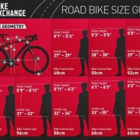 Specialized Road Bike Size Chart 2020