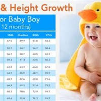 Standard Weight And Height Chart For Baby Boy