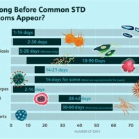 Std Incubation Period Chart