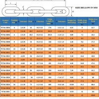 Steel Chain Capacity Chart