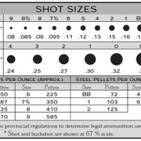 Steel Shot Size Chart