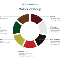 Stool Color Chart Green