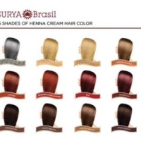 Surya Henna Cream Color Chart