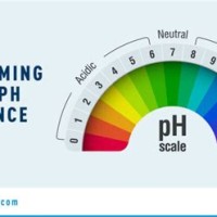 Swimming Pool Ph Level Chart