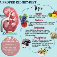 T Chart For Ckd Patients