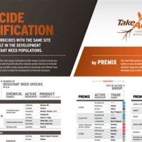 Take Action Herbicide Chart