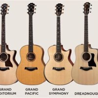 Taylor Guitar Body Size Chart