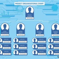 Team Anization Chart Template