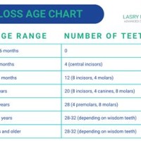 Teeth Loss Age Chart