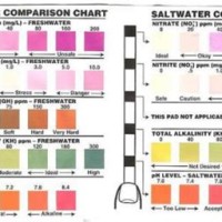 Tetra Ammonia Test Strips Color Chart