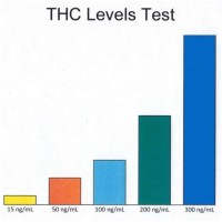 Thc Levels In Urine Chart