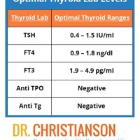 Thyroid Levels Normal Chart