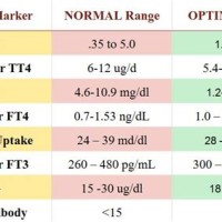 Thyroid Levels Range Chart