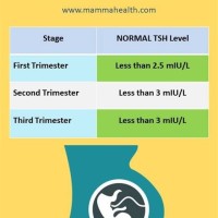 Thyroid Normal Range Chart During Pregnancy