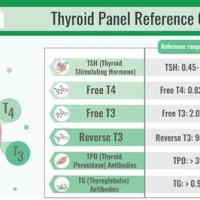 Thyroid Test Results Chart Hindi