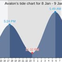 Tide Chart Avalon Nj Today