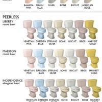 Toilet Colors Chart