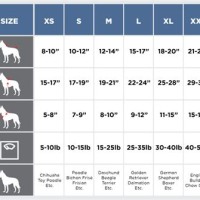 Top Paw Size Chart By Weight