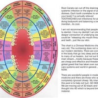 Traditional Chinese Medicine Teeth Chart