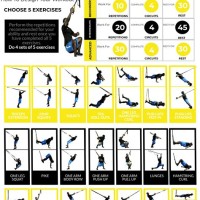 Trx Suspension Exercise Chart